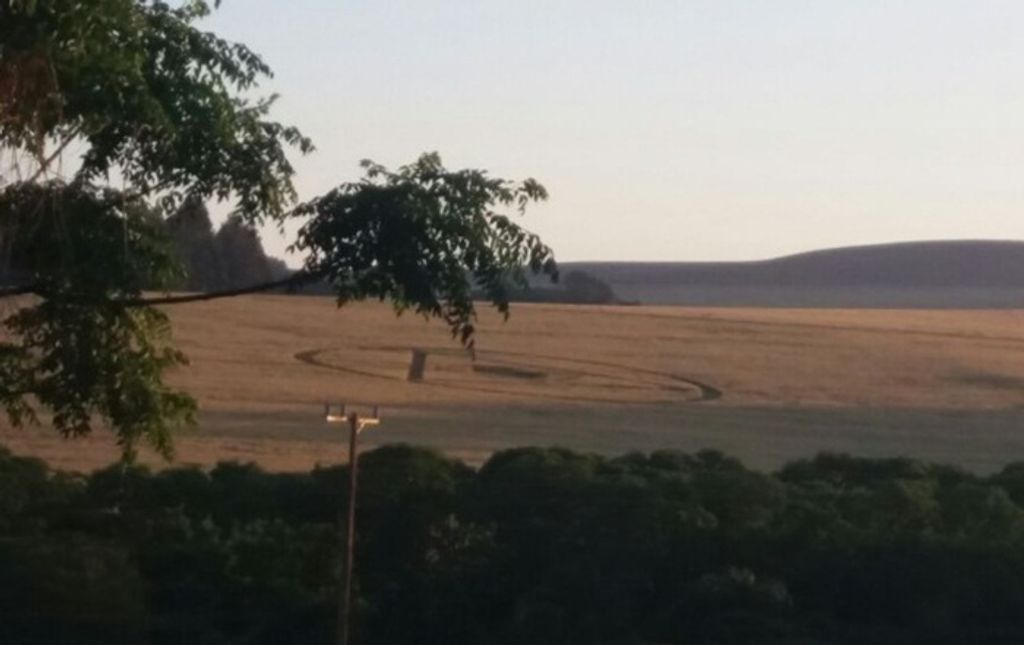 Marcas misteriosas voltam a aparecer em plantações de trigo do Oeste Catarinense
