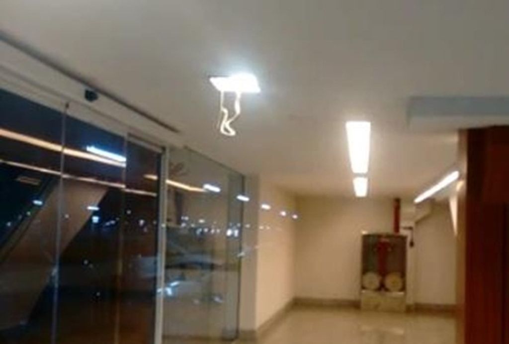 Cobra presa em luminária chama a atenção de visitantes em shopping de Joinville