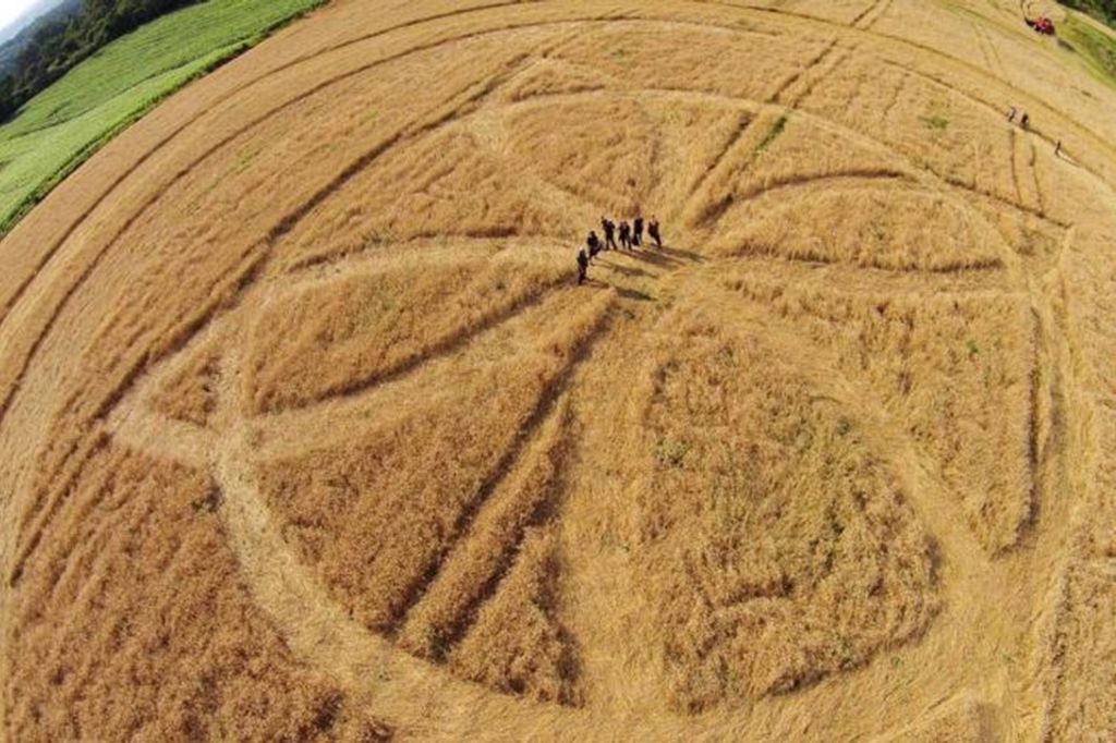 Canal History exibe documentário Círculos, que aborda o aparecimento de agroglifos no Oeste