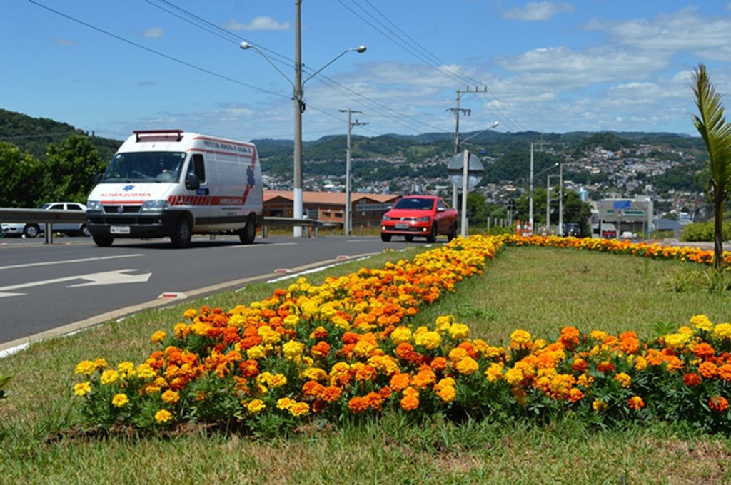Flores embelezam Joaçaba e agradam moradores e visitantes