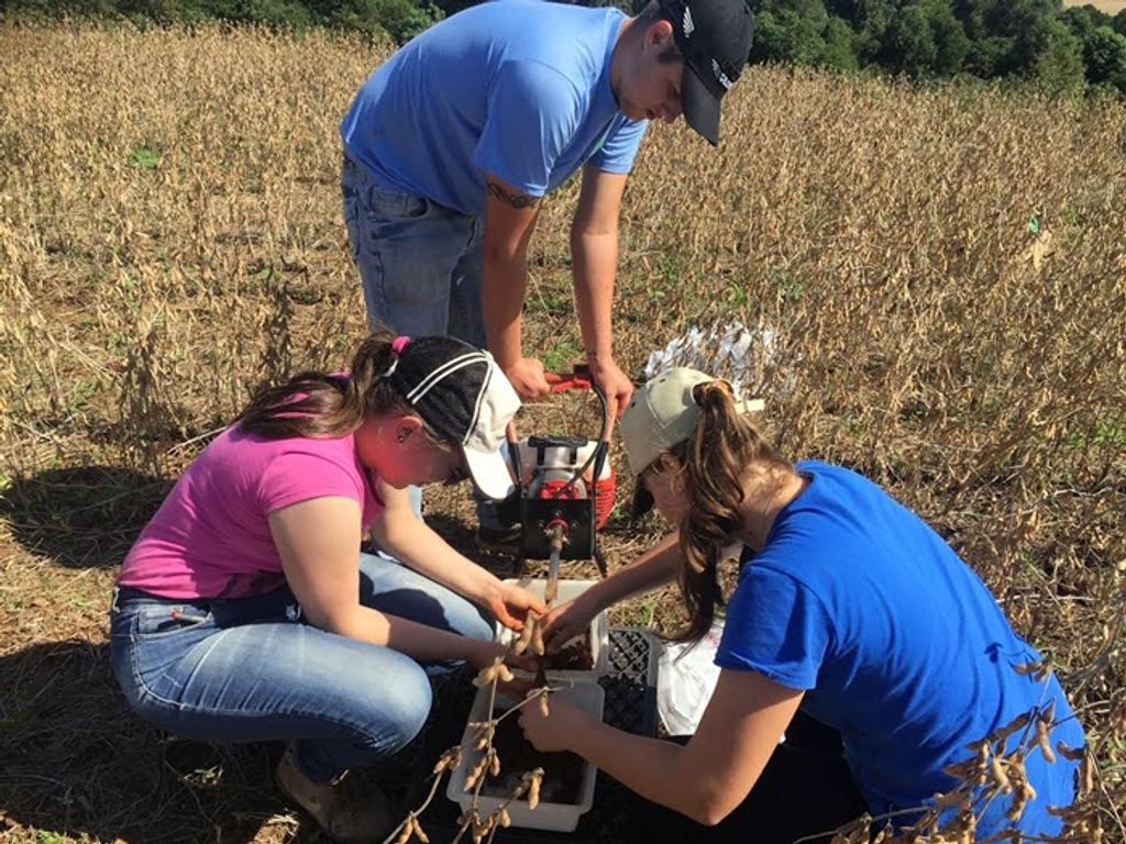 Pesquisadores da Unoesc investigam dose correta de gesso agrícola para melhorar os atributos químicos do solo