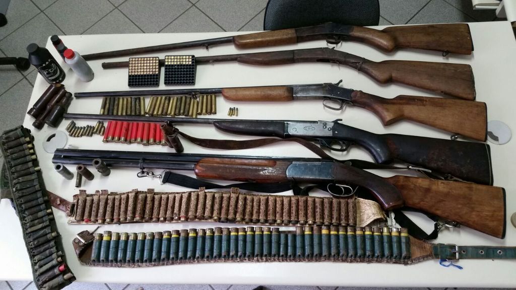Armas, munições, animais silvestres e objetos furtados são apreendidos em Ibicaré