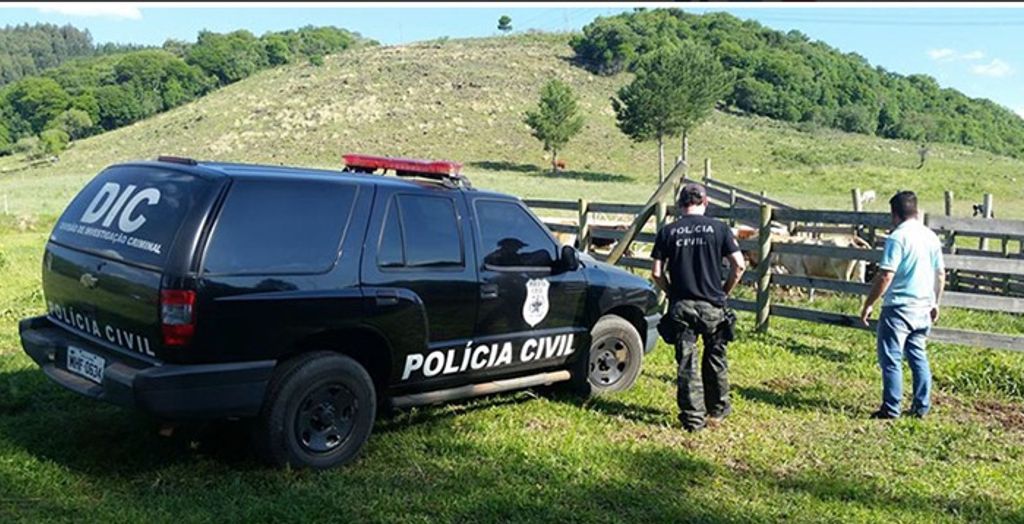 Polícia Civil recupera mais cabeças de gado furtadas na região de Campos Novos