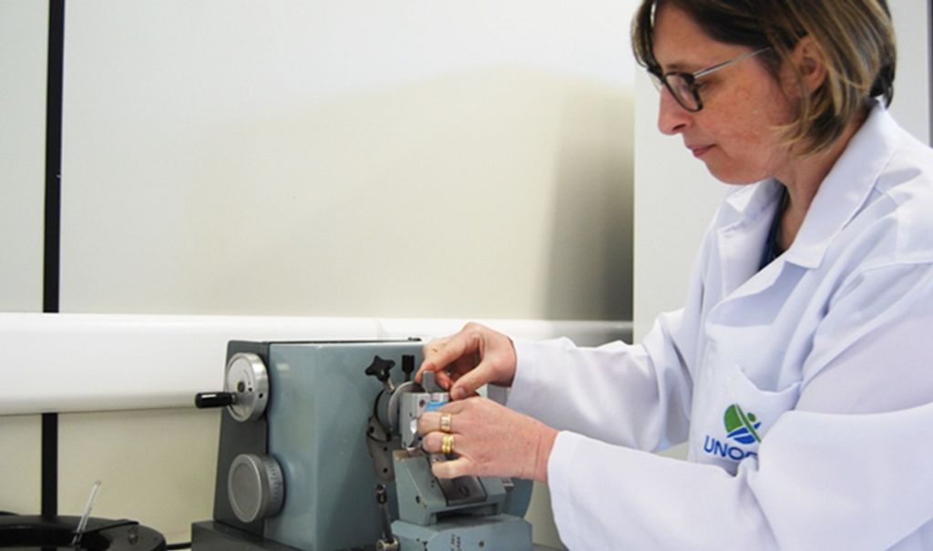 Tratamento alternativo para queimaduras de segundo grau é alvo de pesquisa na Unoesc