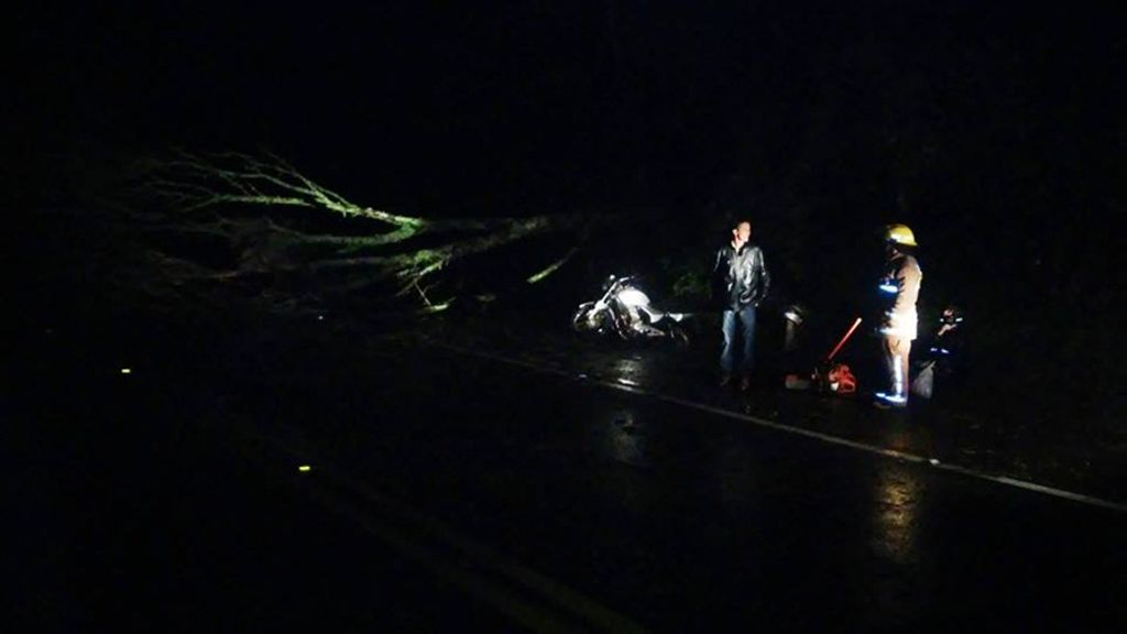 Moto colide em árvore caída na BR 153