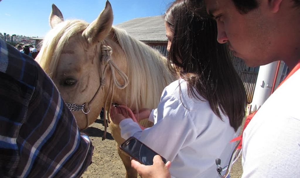 Medicina Veterinária participa da cavalgada e caminhada da Associação de Pais e Amigos dos Autistas
