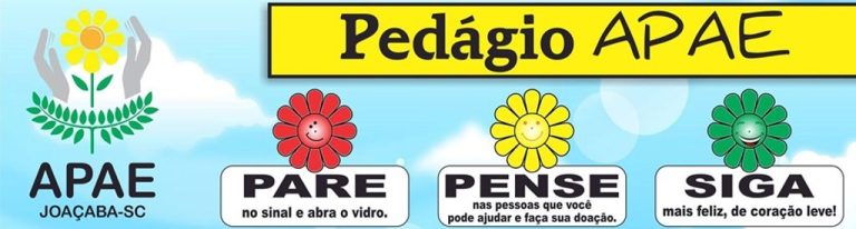 Pare no pedágio da Apae neste sábado, 12, e contribua com a entidade!