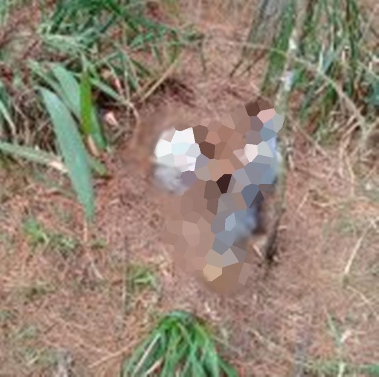 Perícia identifica corpo em decomposição encontrado em Fraiburgo no mês de abril