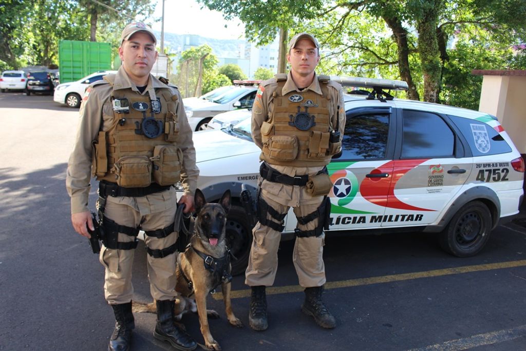 Cão Iron ajuda policiais a prenderem homens que roubaram táxi