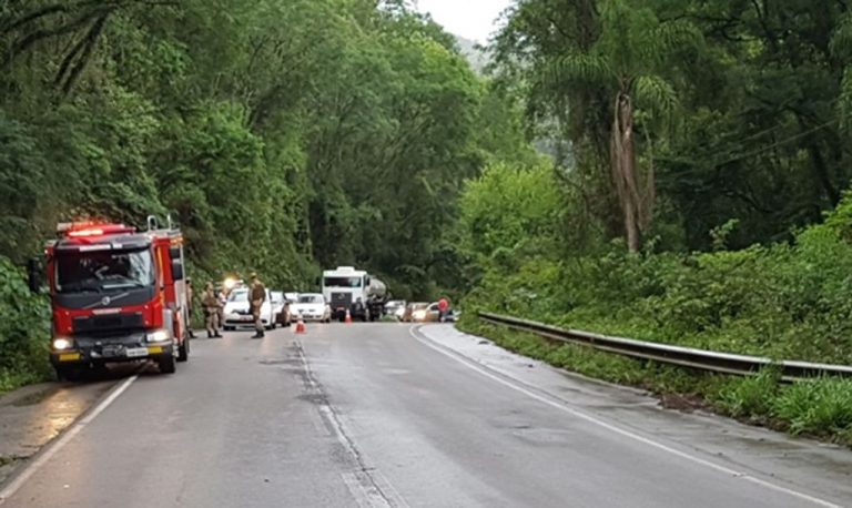 Retirada de árvore interdita a SC 150 em Joaçaba