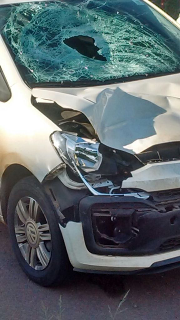 Criança morre atropelada na BR-282 em Vargem Bonita