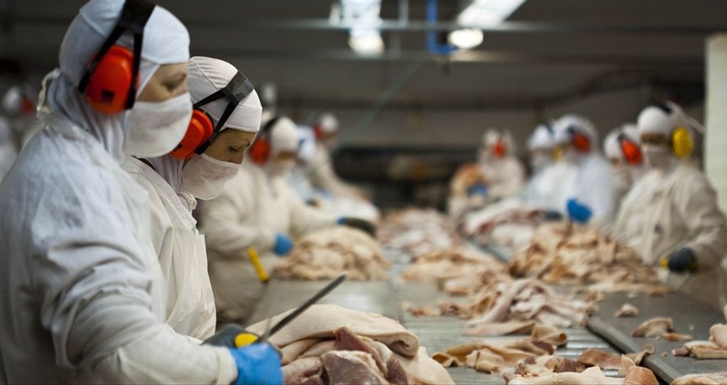 Santa Catarina fatura $ 2,6 bilhões de dólares com exportações de carnes em 2017