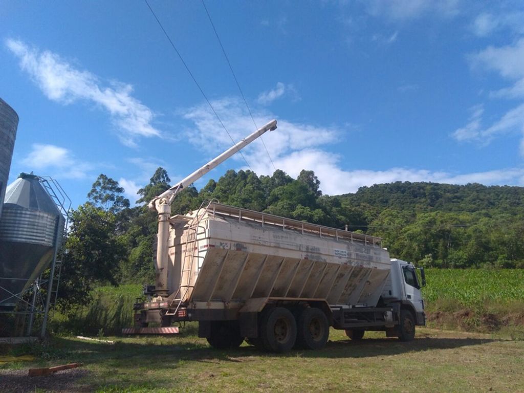 Homem morre por descarga elétrica no interior de Concórdia