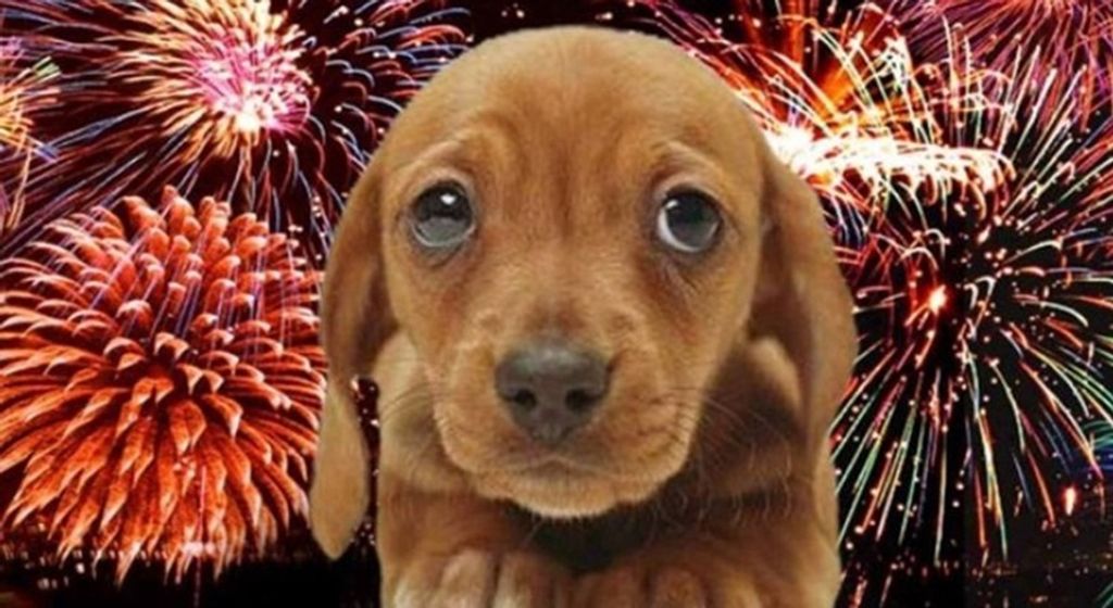 Proibição de fogos de artifício com barulho será votada pelo Senado