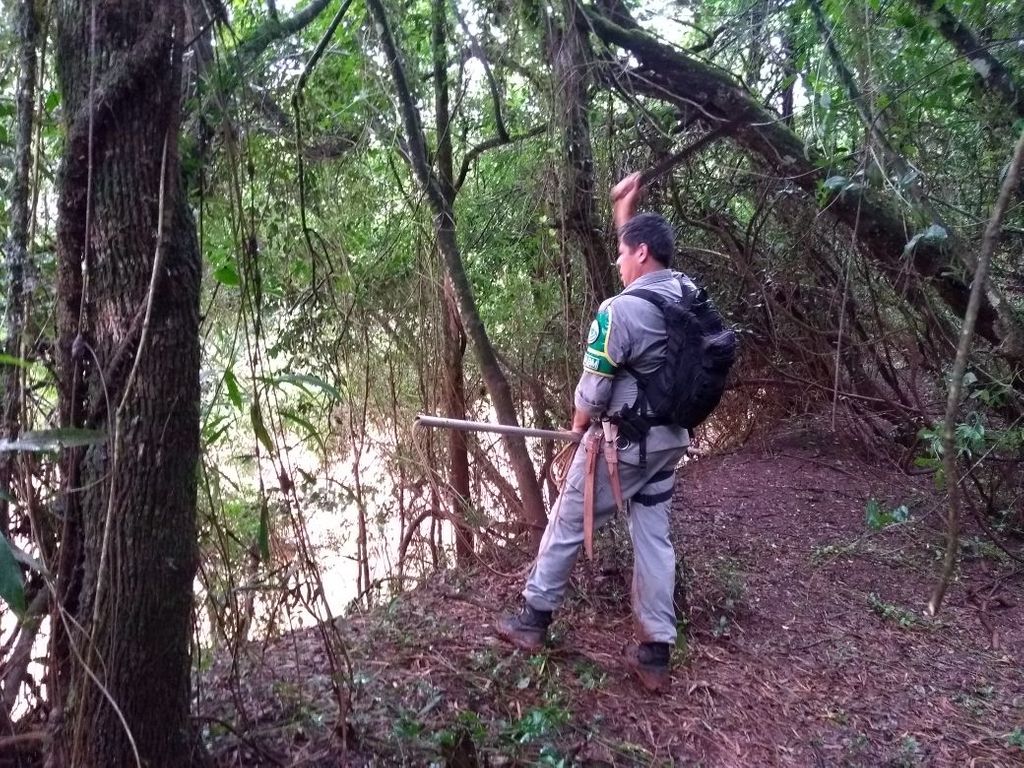 Mesmo com laudo descartando que menino foi morto por cobra, polícia segue buscas ao animal em rio do RS