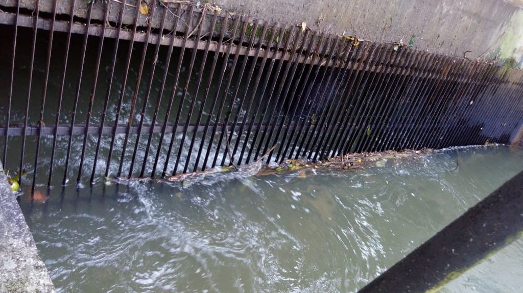 Denúncia! Caixas com medicamentos hospitalares são descartadas no Rio do Peixe em Joaçaba