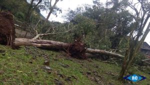 Temporal assusta moradores da região na manhã desta terça-feira, 28
