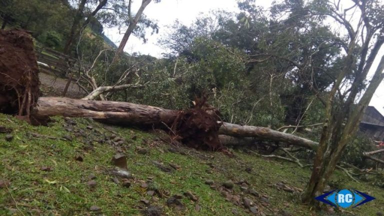 Temporal assusta moradores da região na manhã desta terça-feira, 28