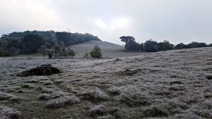 Meteorologia prevê frio intenso para esta semana em SC