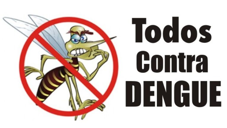 Programa de Controle da Dengue promoverá mutirões de limpeza em Joaçaba