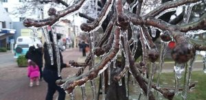 Domingo começa com temperaturas negativas em mais de 20 cidades de SC