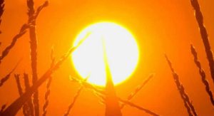 Defesa Civil alerta para calor intenso nos próximos dias em SC