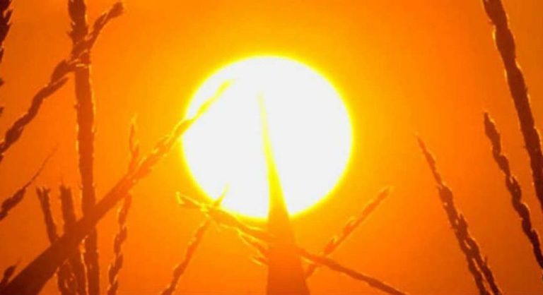 Defesa Civil alerta para calor intenso nos próximos dias em SC