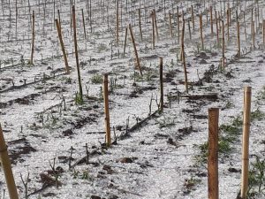 Chuva de granizo causa estragos em Lebom Régis