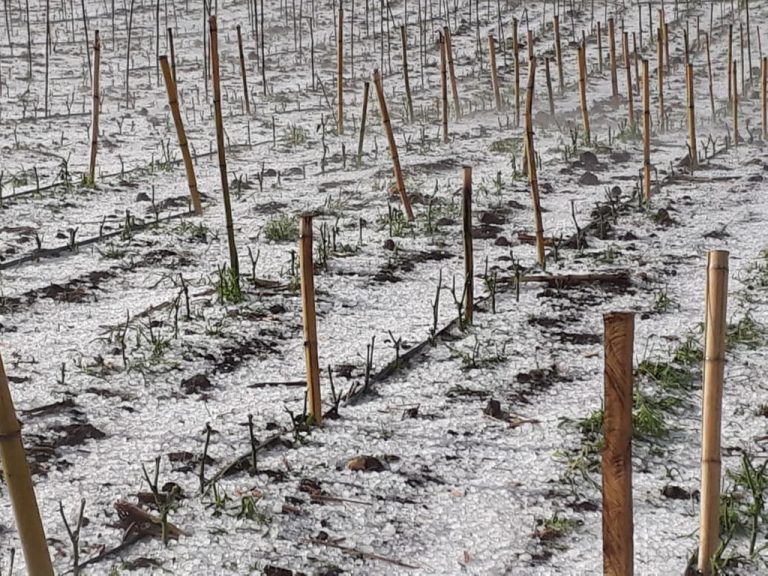 Chuva de granizo causa estragos em Lebom Régis