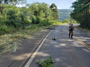 Veículo bate em poste na SC-453 entre Luzerna e Ibicaré