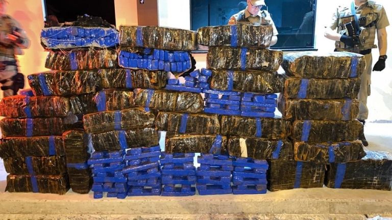 PM apreende cerca de 400 kg de maconha no Oeste