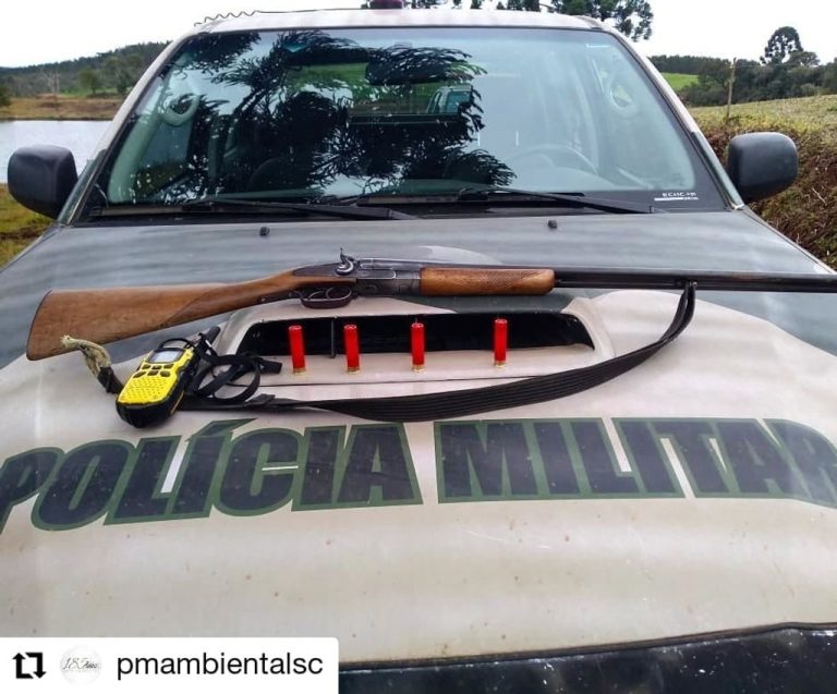 Polícia Militar Ambiental apreende arma e munições
