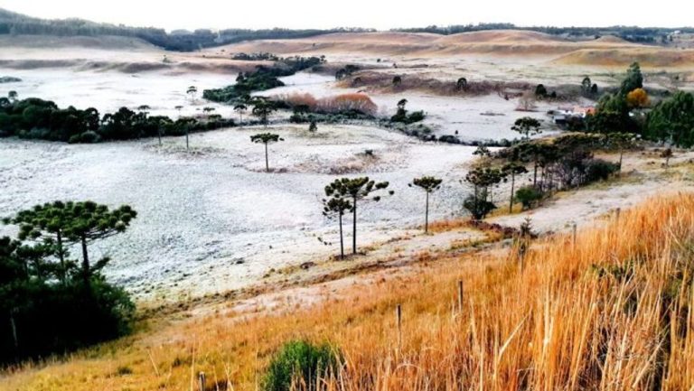 Serra Catarinense registra frio de -5.4ºC com forte geada