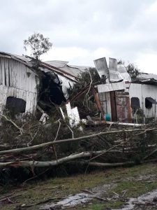 Defesa Civil investiga possível tornado em Santa Catarina