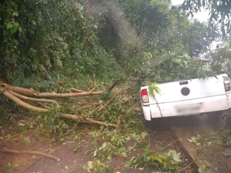 Árvore cai em cima de um veículo em Herval d´Oeste