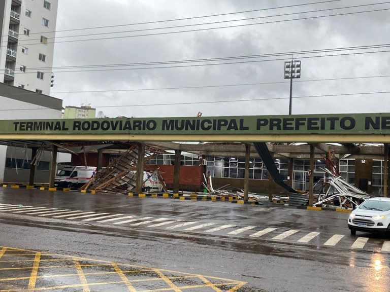 Chuva e vento causam queda de árvores, acidentes e destelhamentos em Concórdia