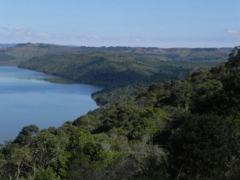 Epagri tem programação online para a Semana do Meio Ambiente de 1º a 5 de junho