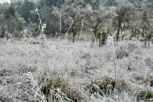 SC tem previsão de neve e ventos de até 120 km/h