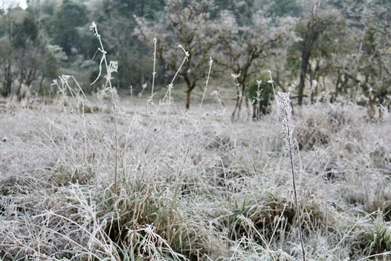 Calor vai embora e dá lugar a temperaturas negativas, ventos, chuva e geada em SC