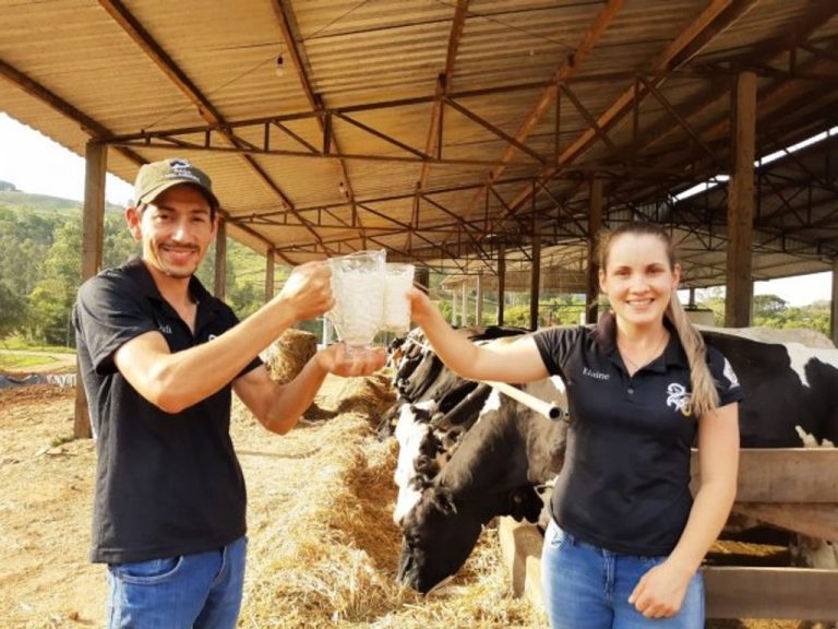 Santa Catarina ultrapassa a marca de mil propriedades certificadas livres de brucelose e tuberculose