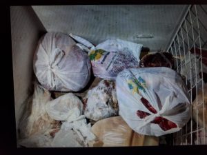 Polícia realiza operação relacionada à investigação de furtos de gado
