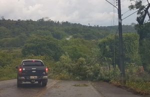 Temporal causa estragos em municípios do Extremo-Oeste de SC
