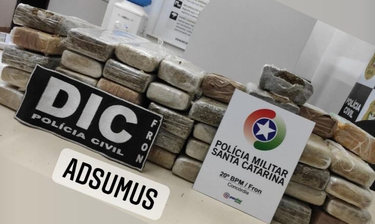 Grande apreensão de maconha é realizada pela Divisão de Investigação Criminal, Polícia Militar e PRE de Concórdia
