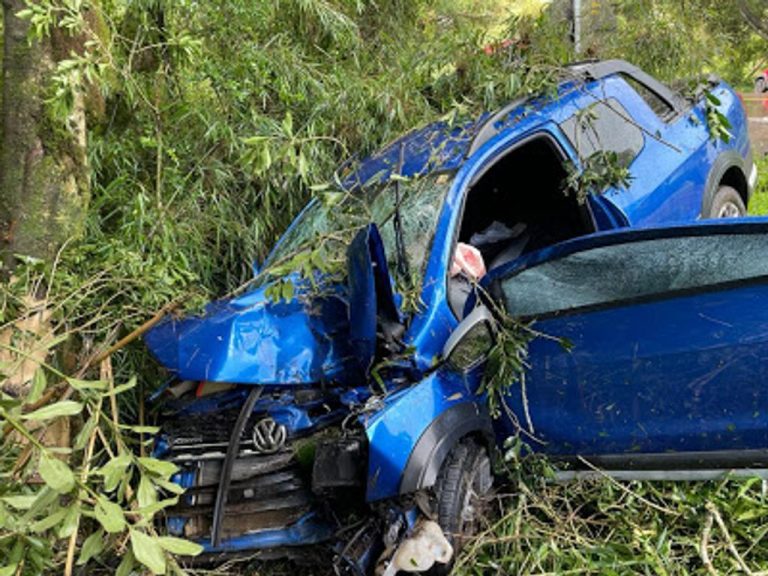 Morre homem que colidiu em árvore na BR-282