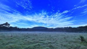 Geada cobre campos na Serra de SC e temperatura chega a 2,2ºC