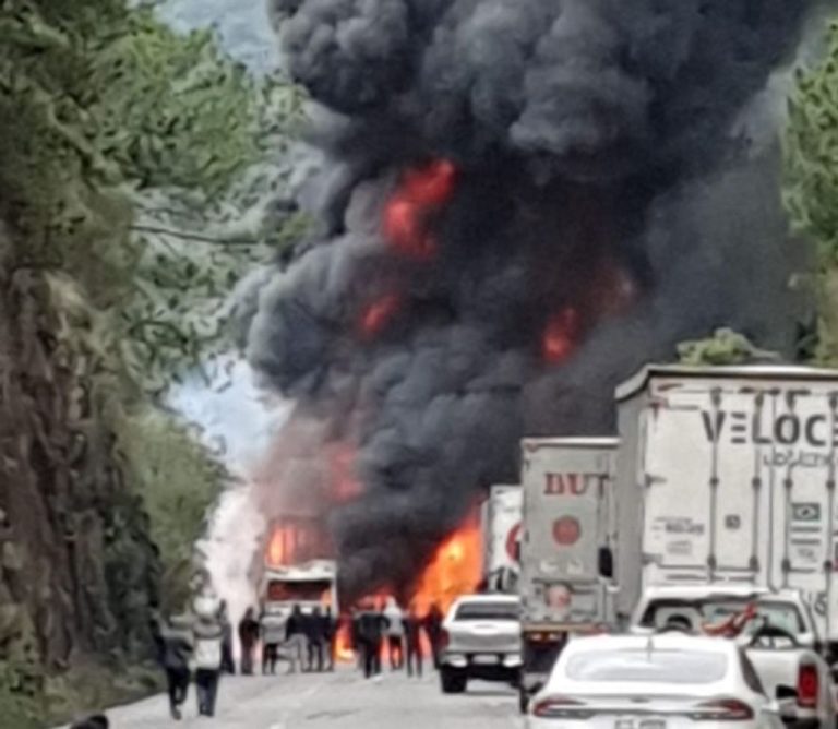 Caminhão pega fogo na BR-153