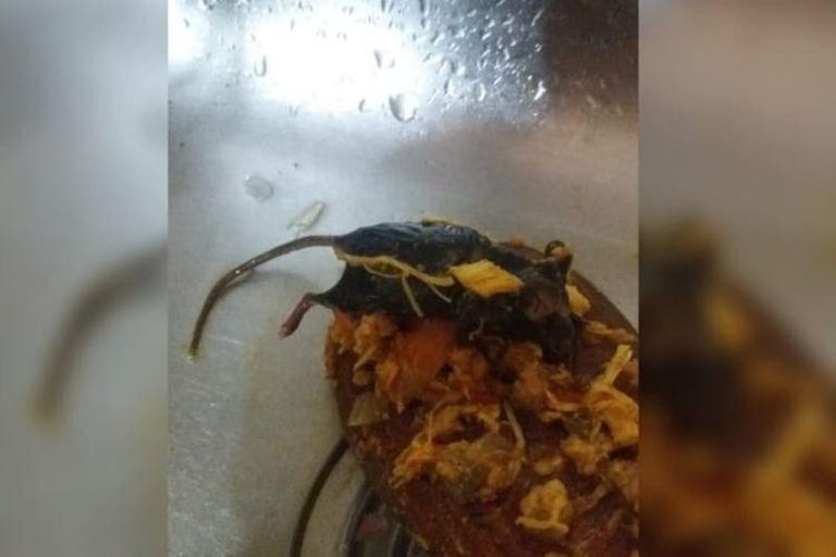 Rato morto é encontrado dentro de um molho de tomate no Oeste SC