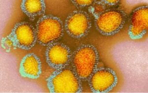 Gripe: SC confirma 33 casos de H3N2 e emite alerta aos municípios