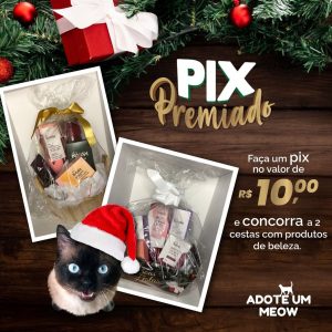 Para arrecadar recursos, Adote Meow está realizando a campanha solidária “Pix Premiado”
