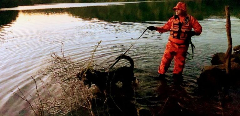 Bombeiros e Gorsc retomam buscas pelo corpo da concordiense assassinada pelo ex-companheiro